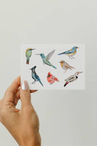 Birds Greeting Card