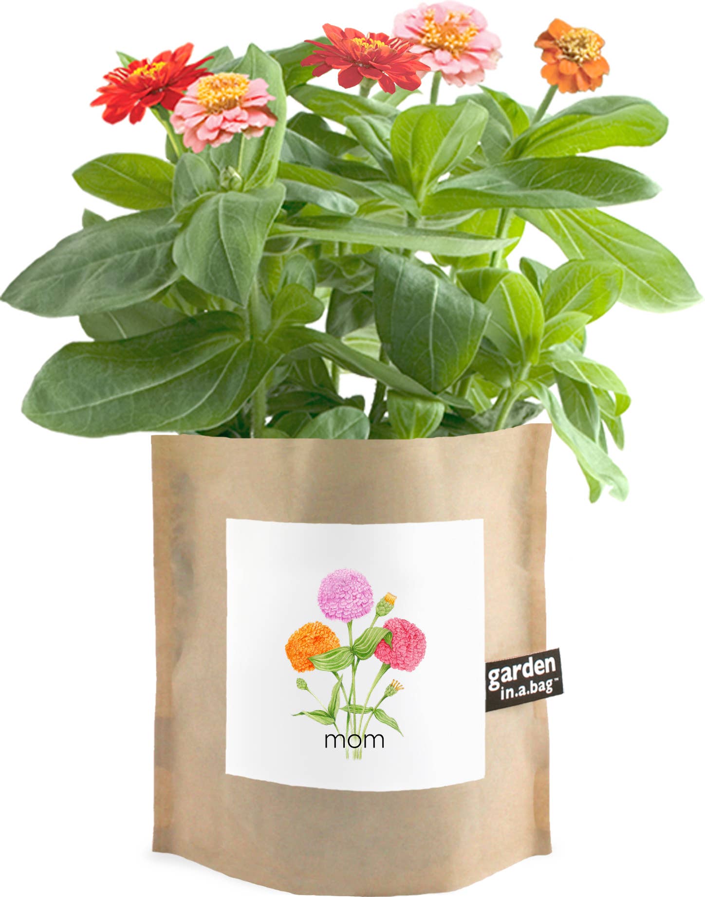 Garden in a Bag