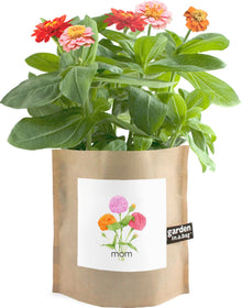 Garden in a Bag