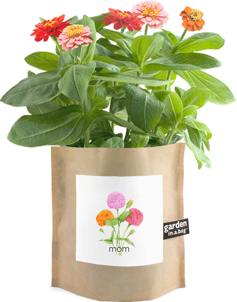 Garden in a Bag