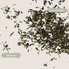 Moroccan Mint Mini Tea Tube