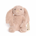Soft Plush Lavender Bunny