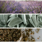 Lavender & Sage Soy Candle