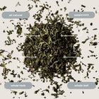 Peppermint Herbal Mini Tea Tube